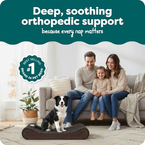 Orthopedic Dog Bed for Large (Large / Chocolate)