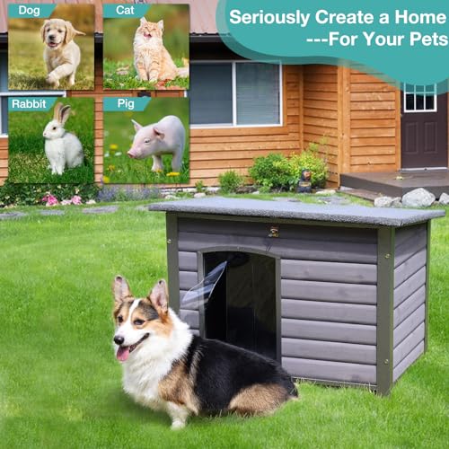 Indoor Outdoor Dog House