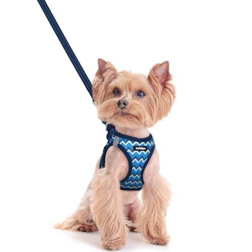 Dog Harness Small Sized and Leash Set (Blue Zigzag / Xxs (chest: 12.4 - 14.2"))