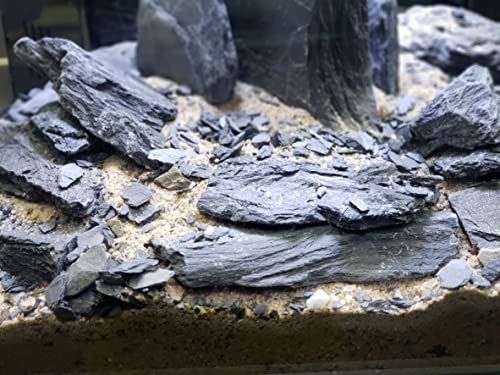 Natural Slate Stone 5 to 7 Inches (10 lbs)