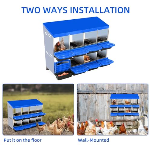 Chicken Nesting Boxes (46.3"L x 17.3"W x 10.8"H / Blue)