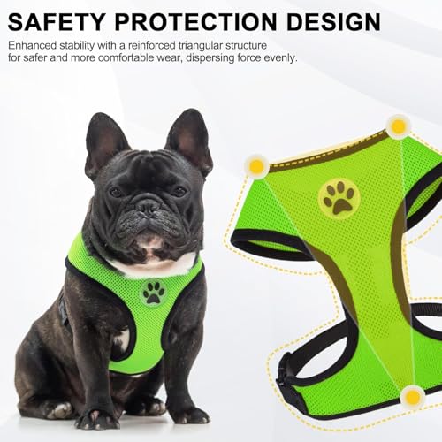 Small Dog Harness (M (NECK: 14", CHEST: 17"-21") / Green)