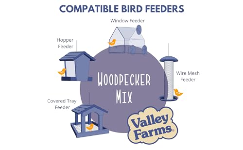 Woodpecker Mix (4 Pound (Pack of 1))