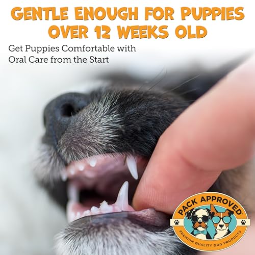 Dental Wipes for Dogs