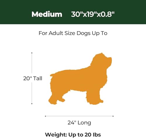 Dog Crate Pad (30.0"L x 19.0"W x 0.8"Th / Dusty Blue, 2 Packs)