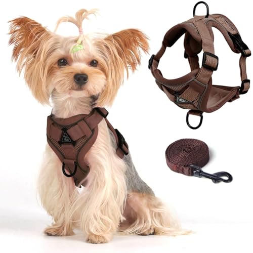 Vest Harness Leash Set for Small Dog Large Cat
