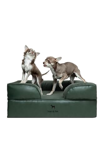Dog Bed Orthopedic Memory Cooling Foam (Green - LE / Medium)