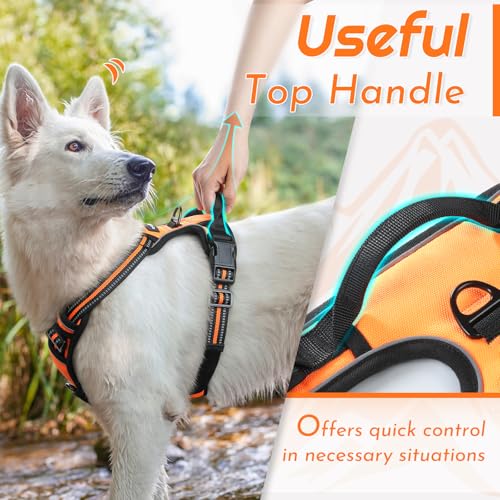 Dog Harness for Large Dogs (Large / Orange)