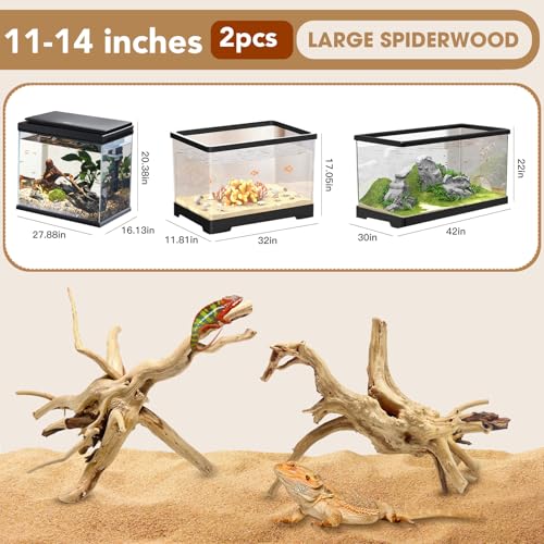Natural Large Spiderwood Driftwood for Aquarium Decor Rptile Fish Tank Decoration Assort Branch 11 (Spiderwood 11 to 14 Inch (Pack of 2))