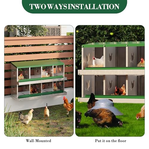 8 Hole Chicken Nesting Box with Roll Out Egg Tray