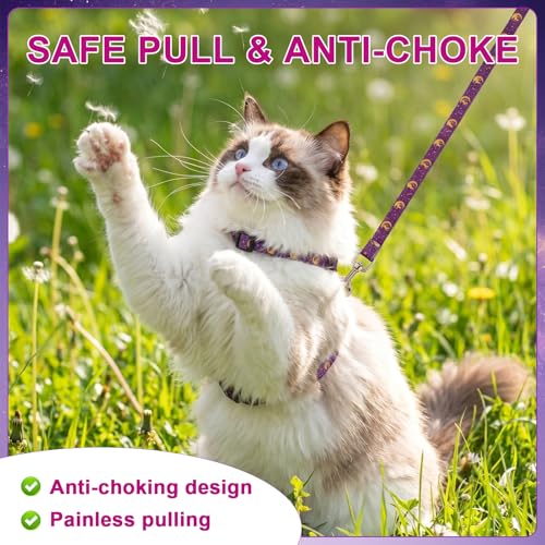 2 Pack Cat Harness and Leash (Black Purple)
