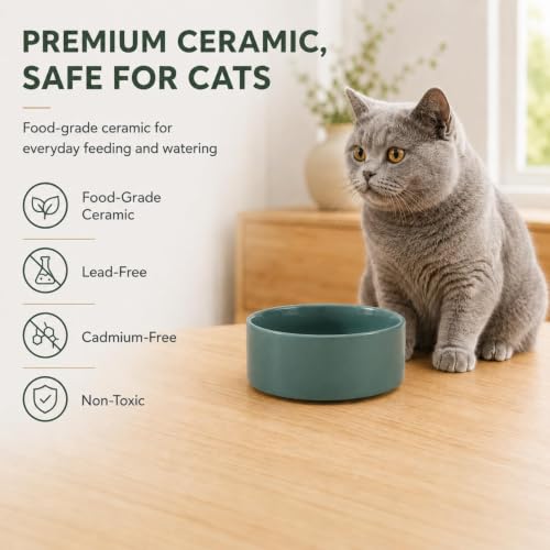 Cat Bowls Set of Two (Dark Green)