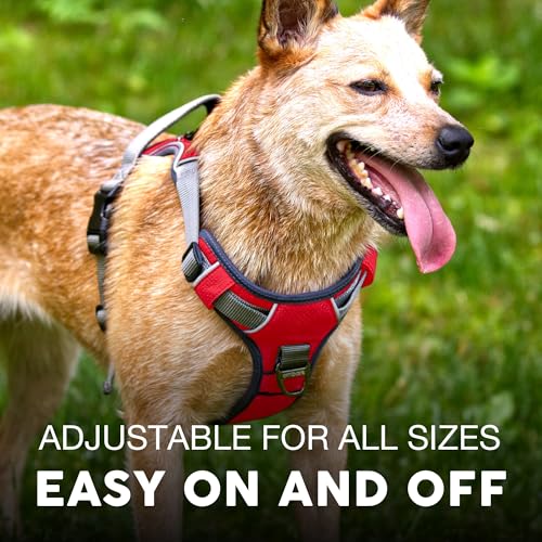 Embark No Pull Dog Harness (L / Red)