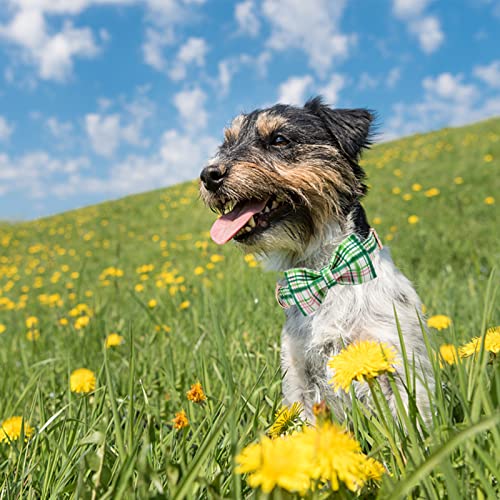 Dog Collar with Bow (Pink&Green / X-Small (Pack of 1))