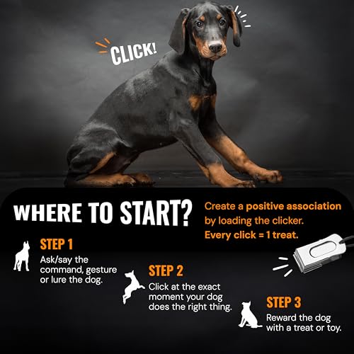 Metal Clickers for Dog Training (3 Pack / Black)