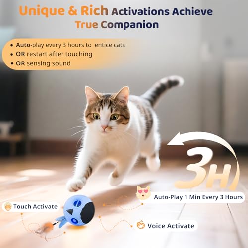 Cat Toys Ball (Sky- Blue)