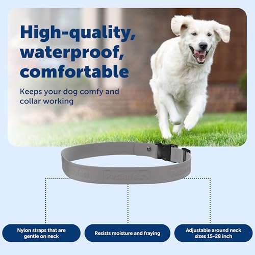 Guardian GPS + Tracking Dog Fence Replacement Collar Strap (Gray / Replacement Strap)