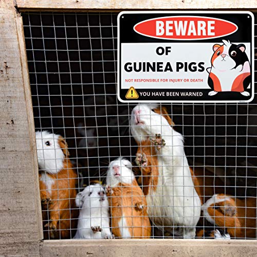 Guinea Pig Sign Decor (Guinea Pig)