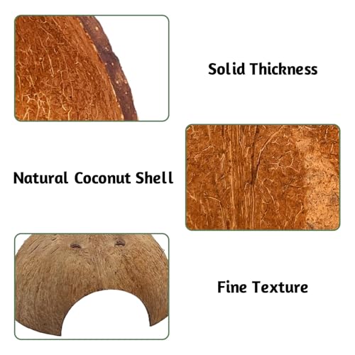 6 PCS Natural Coconut Reptile Hideouts Lizard Coco Hut Hermit Crab Hut Aquarium Fish Hide Cave Spider Snail Climber Toys (Smooth Surface / 6 PCS)