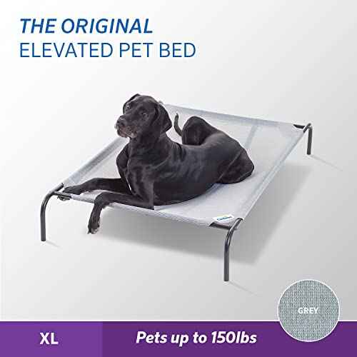 Original Elevated Dog Bed (X-Large Dog Bed / Grey (Pack of 1))