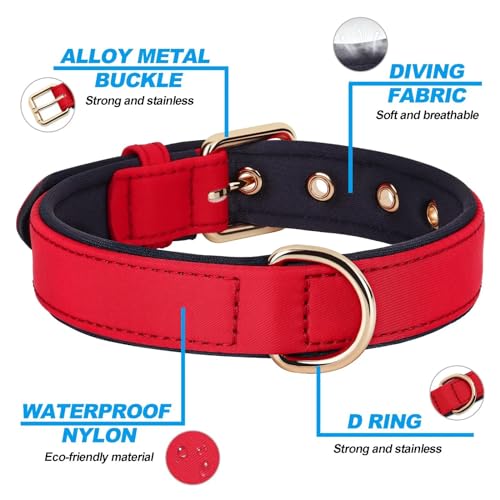 Soft Padded Dog Collars for Small Dogs (Red / M: Fit 11-15" Neck)