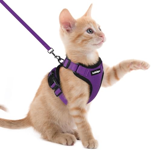 Cat Harness and Leash Set (Xxs / Purple)