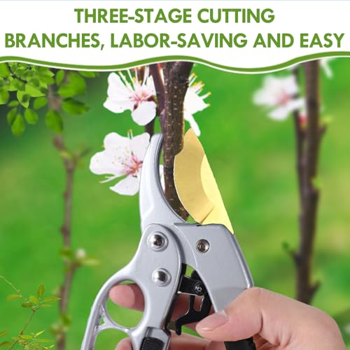 Titanium pruning shears (Titanium Pruners)