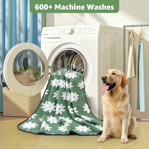 Washable Puppy Pads (Green Daisy / 36"x72"(Pack of 2))
