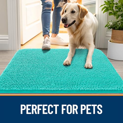 Dog Door Mat for Muddy Paws 50x30 (Teal / 50" X 30")