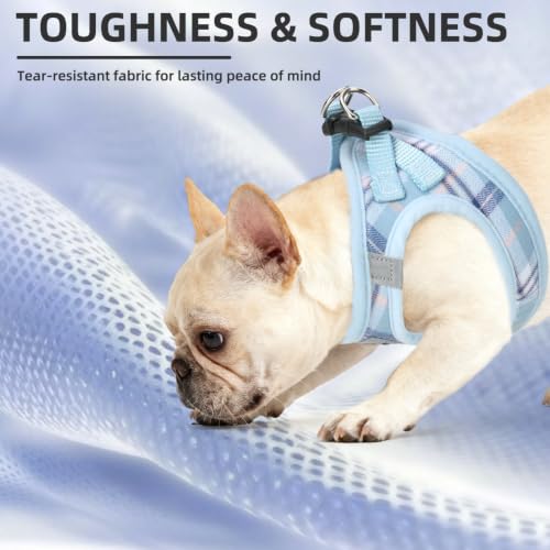 Dog Harness Collar and Leash Set No Pull for Small Medium Sized (Blue / XL (CHEST 20"-22"))