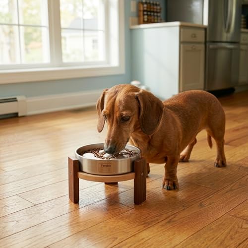 Elevated Dog Bowl Stand (4" Height 1-Cup Slow Feeder)