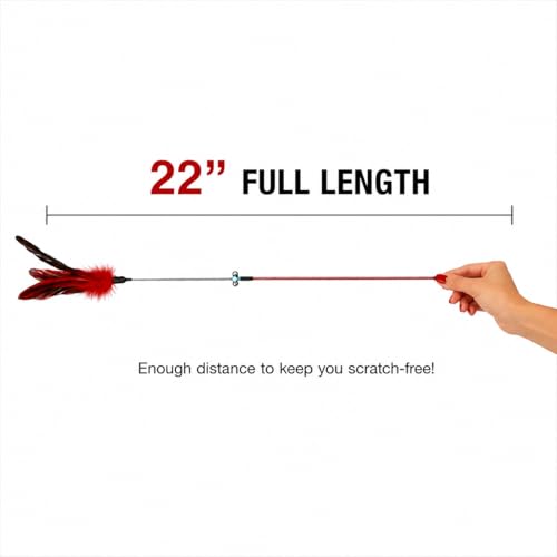 Cat Feather Wand Toy Set