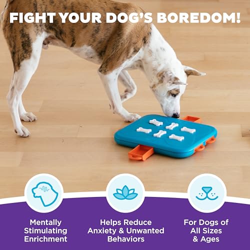 Nina Ottosson Dog Casino Dog Toy Treat Puzzle