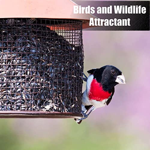 Wildlife Black Oil Sunflower Seeds for Birds and Wildlife