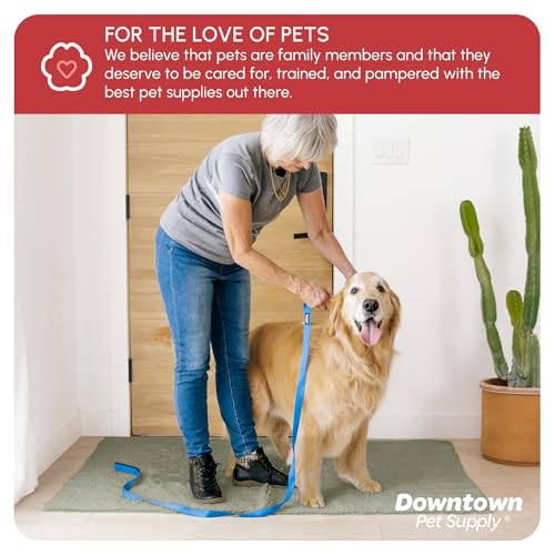 Dog Mud Mat 60" x 36" Light Gray (60" x 36" / Light Gray)