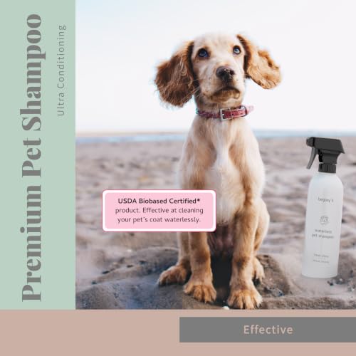 Begley’s No Rinse Waterless Pet Shampoo (16 Fl Oz (Pack of 1) / Oatmeal Mango)