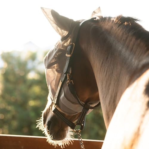 Warmblood Fly Mask with Ears
