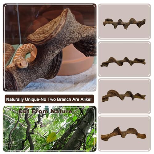 3PCS Natural Reptile Climbing Branches Decor (3PCS|L:1.75-2.25"T,13"H)