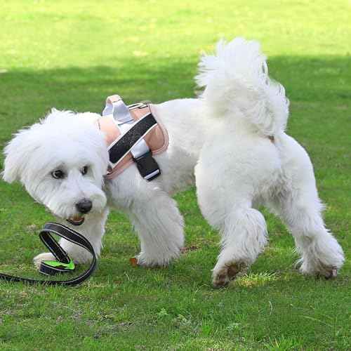 Dog Harness No (X-Large (Pack of 1) / RosePink)