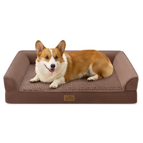 Orthopedic Dog Bed for Large Sized Dogs (Brown / L:36x27x6.5 inch)