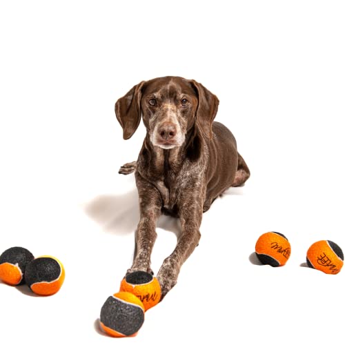 Orange Black Dog Halloween Tennis Balls Fetch Toy