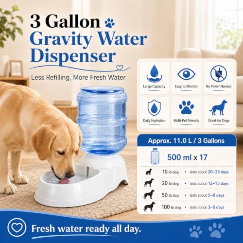 Pet Water Dispenser Station for Large Dogs and Cats (3 Gallon Water)