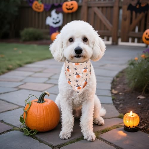 Halloween Dog Bandanas (Small / Halloween-2)