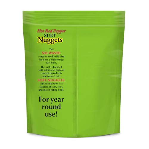 Berry Flavor Suet Nuggets (1.69 Pound (Pack of 1))