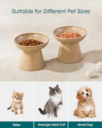 2 Pack Elevated Cat Food Bowls (Brown)