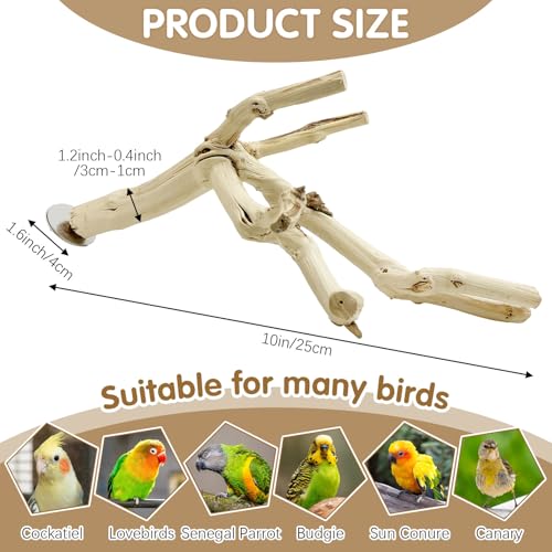 Bird Perch Stand 10"