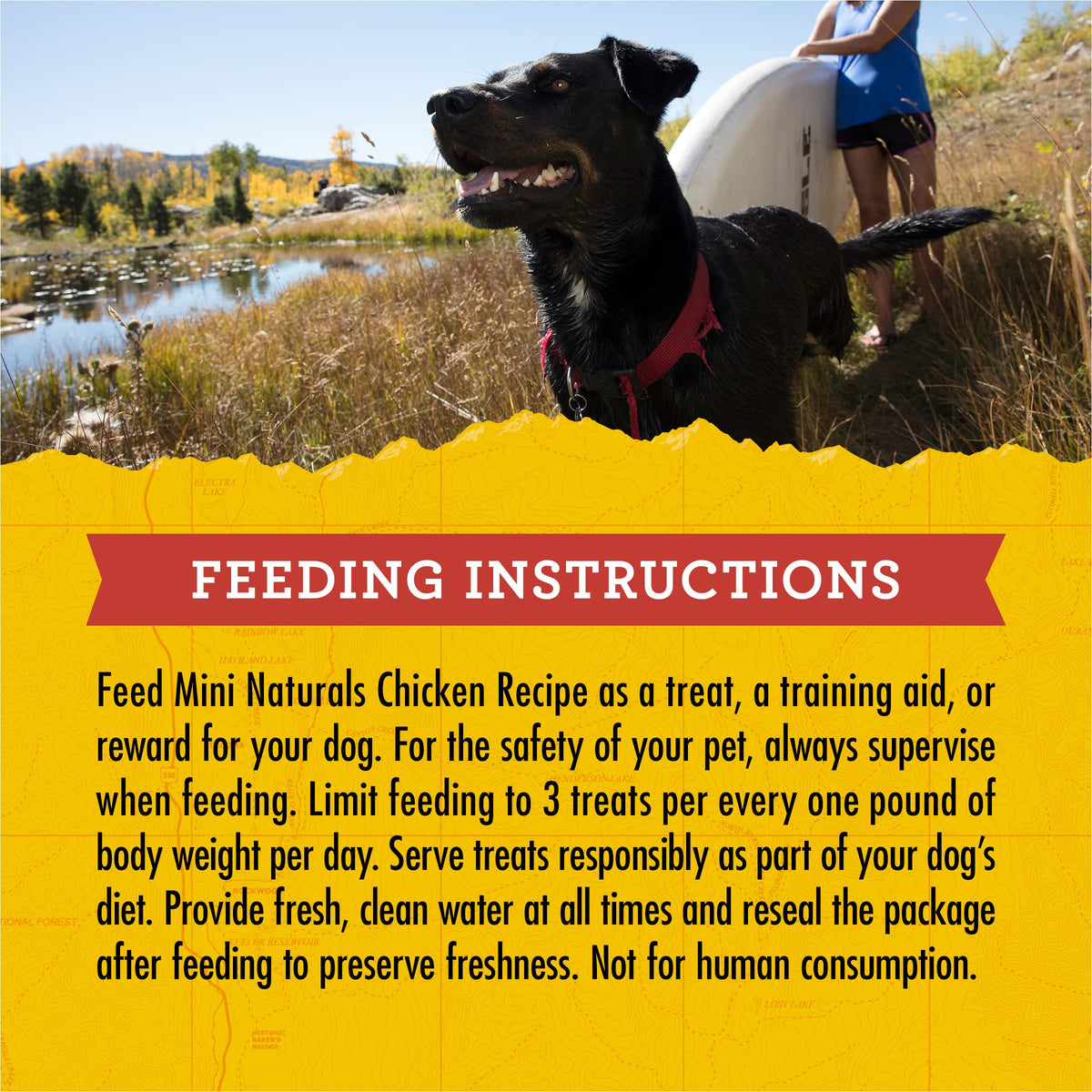 Mini Naturals Dog Training Treats (6 Ounce (Pack of 1))