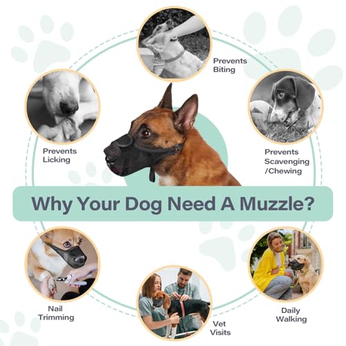Mesh Dog Muzzle for Large Medium Small Dogs with Front Opening (Black / XXL)