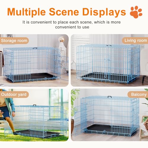 42" Foldable Metal Dog Crate (Blue)
