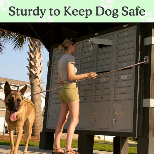 Canine Hitch Secure Dog Leash Parking Indoor (Large with Clip)